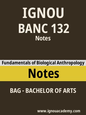 BANC 132 Solved Assignment