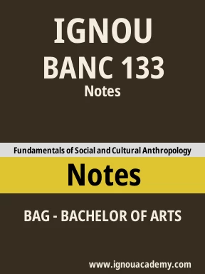 BANC 133 Solved Assignment