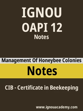 OAPI 12 Solved Assignment
