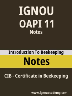 Image ignouacademy-com-ignou-cib-notes-html-div-product-image-notes-47004