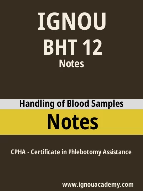 BHT 12 Solved Assignment