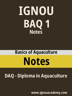 BAQ 1 Solved Assignment
