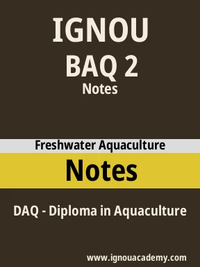 BAQ 2 Solved Assignment
