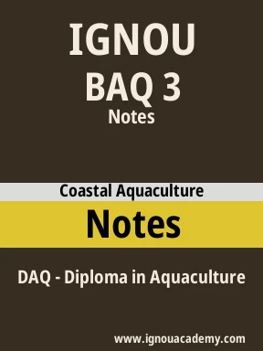BAQ 3 Solved Assignment