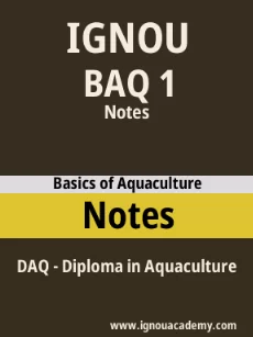 Image ignouacademy-com-ignou-daq-notes-html-div-product-image-notes-16399
