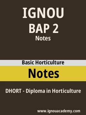 BAP 2 Solved Assignment