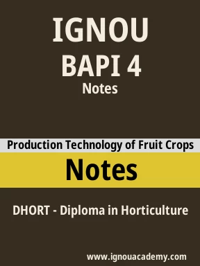 BAPI 4 Solved Assignment