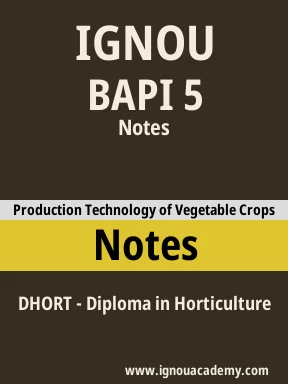 BAPI 5 Solved Assignment