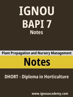 BAPI 7 Solved Assignment