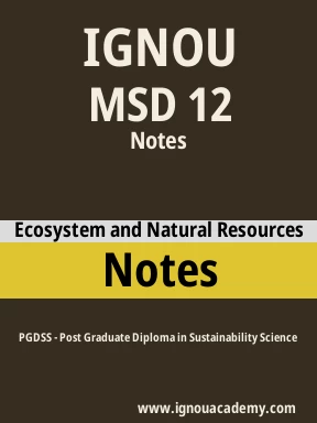 MSD 12 Solved Assignment