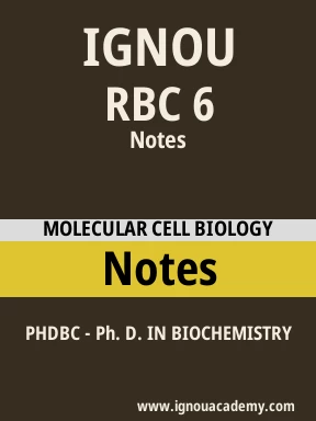 RBC 6 Solved Assignment