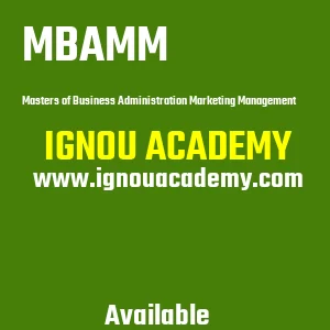 IGNOU MBAMM Projects