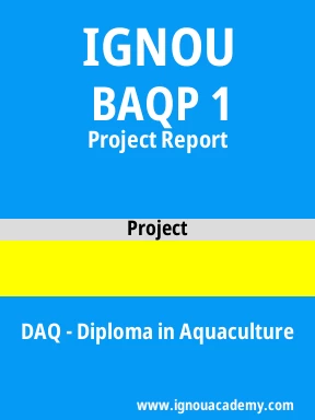 BAQP 1 Solved Assignment