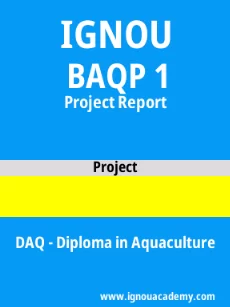 Image ignouacademy-com-ignou-daq-projects-html-div-product-image-ignou-58672