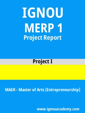  MERP 1 Solved Assignment