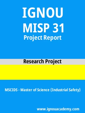 MISP 31 Solved Assignment
