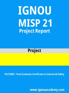 MISP 21 Solved Assignment