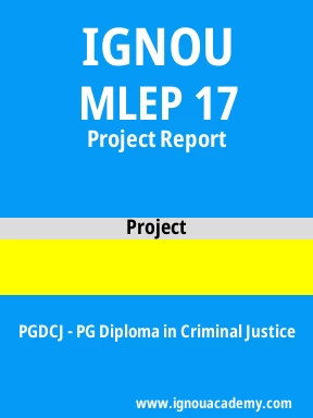 MLEP 17 Solved Assignment