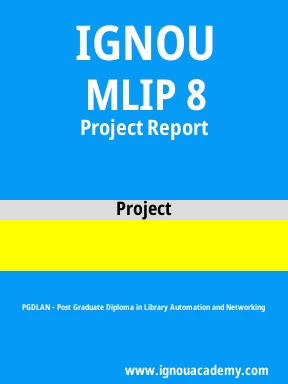 MLIP 8 Solved Assignment