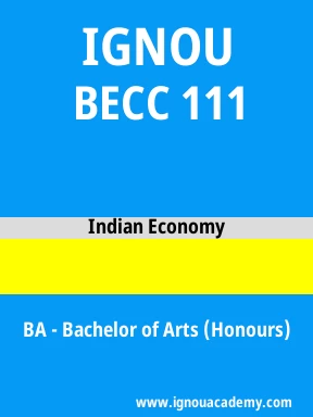BECC 111 Solved Assignment