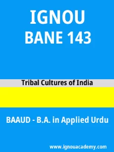 Image ignouacademy-com-ignou-baaud-sample-question-papers-hindi-html-div-product-image-year-91396