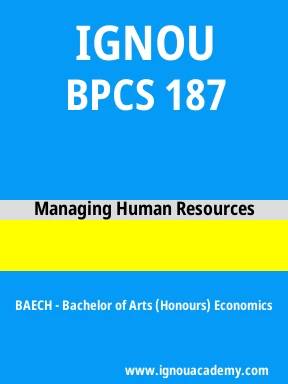 BPCS 187 Solved Assignment