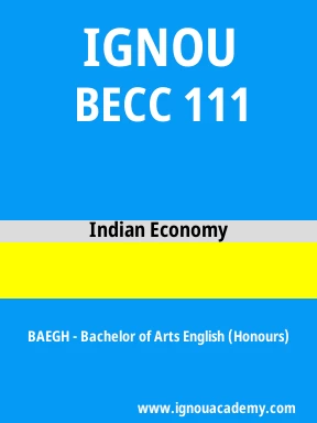 BECC 111 Solved Assignment