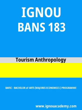 BANS 183 Solved Assignment