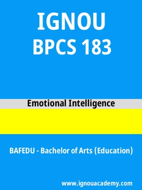 BPCS 183 Solved Assignment