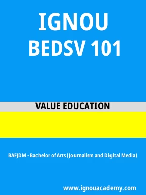 BEDSV 101 Solved Assignment