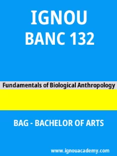 Image ignouacademy-com-ignou-bag-sample-question-papers-hindi-html-div-product-image-year-99971
