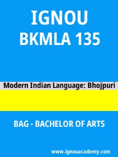 Image ignouacademy-com-ignou-bag-sample-question-papers-hindi-html-div-product-image-papers-98689