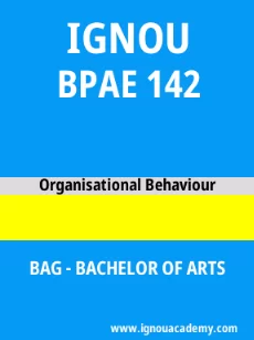 Image ignouacademy-com-ignou-bag-sample-question-papers-hindi-html-div-product-image-papers-62704
