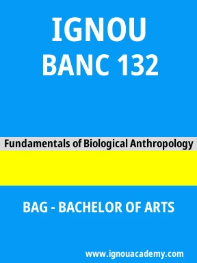 BANC 132 Solved Assignment