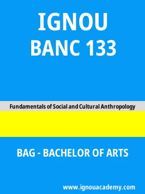 BANC 133 Solved Assignment