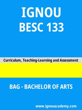 BESC 133 Solved Assignment