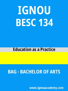 BESC 134 Solved Assignment