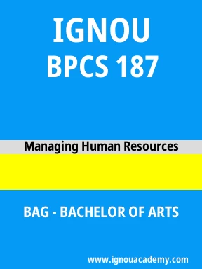 BPCS 187 Solved Assignment