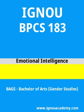 BPCS 183 Solved Assignment