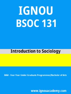 Image ignouacademy-com-ignou-bam-sample-question-papers-html-div-product-image-papers-58841