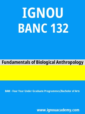 BANC 132 Solved Assignment