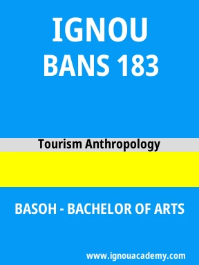 BANS 183 Solved Assignment