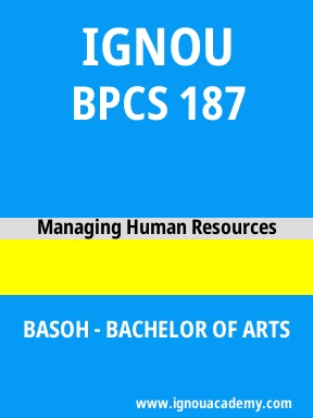 BPCS 187 Solved Assignment