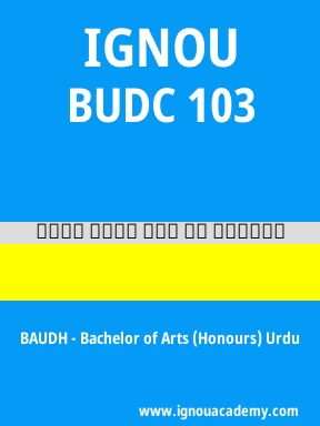 BUDC 103 Solved Assignment