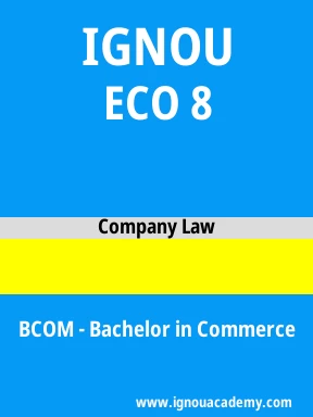 ECO 8 Solved Assignment