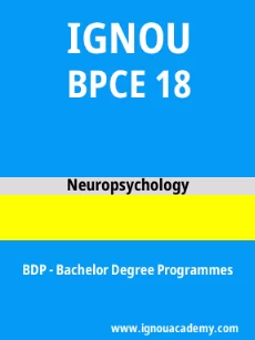 Image ignouacademy-com-ignou-bdp-sample-question-papers-html-div-product-image-papers-65793