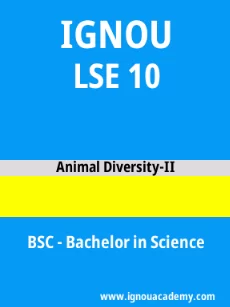 Image ignouacademy-com-ignou-bsc-sample-question-papers-html-div-product-image-papers-54739