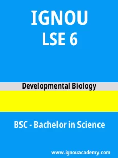 Image ignouacademy-com-ignou-bsc-sample-question-papers-html-div-product-image-papers-35889