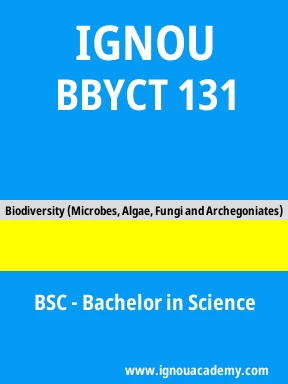 BBYCT 131 Solved Assignment