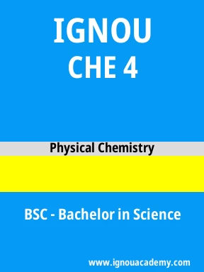CHE 4 Solved Assignment